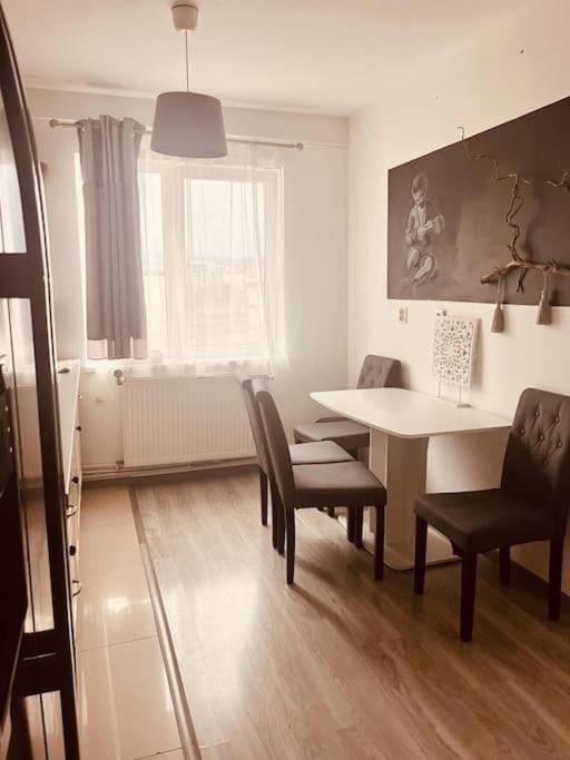 Lorand's Place Near The River Cluj-Napoca